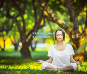 深度战术分析，揭秘冠军球队的制胜密码