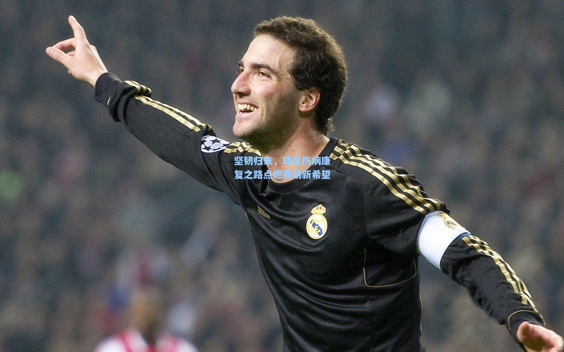 坚韧归来,球星伤病康复之路点燃赛场新希望