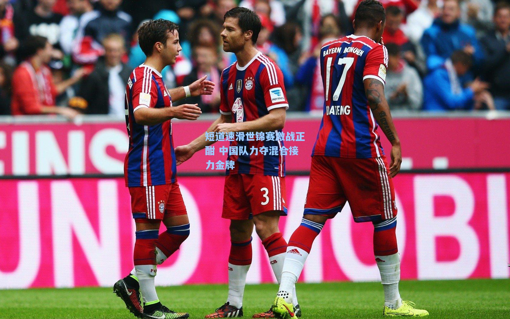 短道速滑世锦赛激战正酣 中国队力夺混合接力金牌