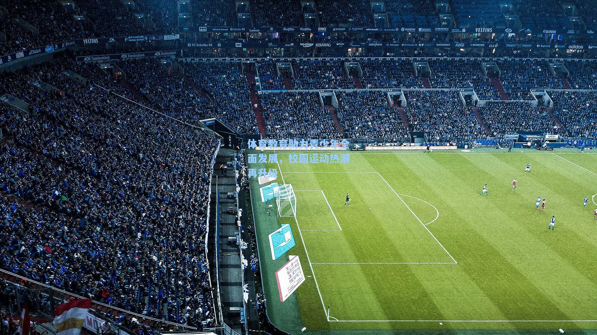 体育教育助力青少年全面发展,校园运动热潮再升级